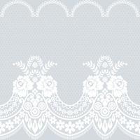 Lace seamless pattern with flowers vector