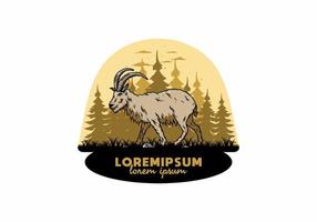 Hairy mountain goat with long horns vector