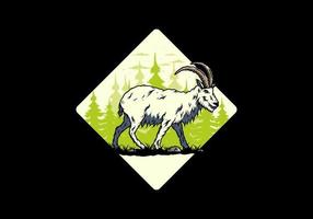 Hairy mountain goat with long horns vector