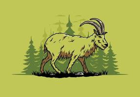 Hairy mountain goat with long horns vector