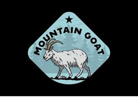 Hairy mountain goat with long horns vector