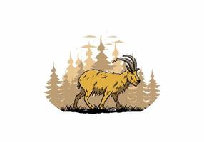 Hairy mountain goat with long horns vector