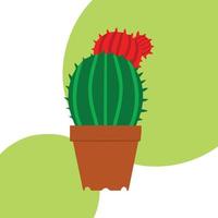 Cactus in flower potisolated on colored background. Green and red cactus. Vector illustration. Images for design of sites menus banners posters stationery clothes