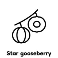 Star gooseberry linear icon, Vector, Illustration. vector
