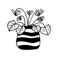 cyclamen in a pot icon hand drawn. , minimalism, scandinavian, monochrome, nordic sticker plant flower vector