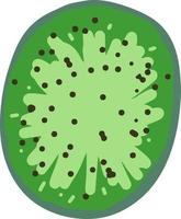 kiwi slice vector icon, sticker. hand drawn. illustration. green juicy summer fruit