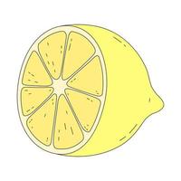 Vector illustration of lemon in traditional cartoon style. Citrus isolated on white background