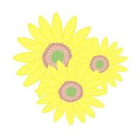 Three sunflowers, colorful illustration vector