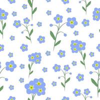 Forget-me-not, flower seamless pattern vector