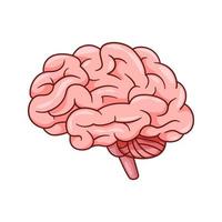 vector de cerebro humano aislado sobre fondo blanco