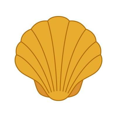 Seashell isolated on white background