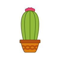 Cactus isolated on white background vector
