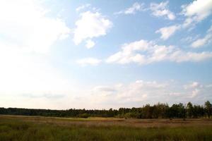 grass valley in forest during summer photo