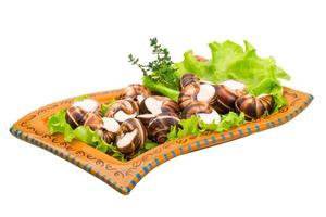 Escargot snails on a plate with lettuce photo