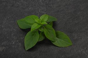 Fresh green Basil leaves - for cooking photo