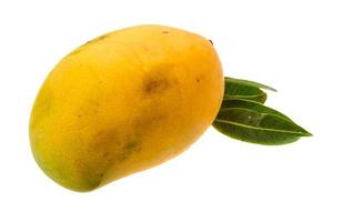 Yellow bright mango photo