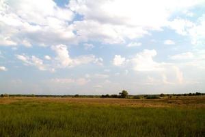 grass valley in forest during summer photo