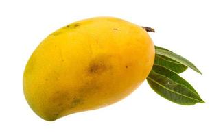 Yellow bright mango photo