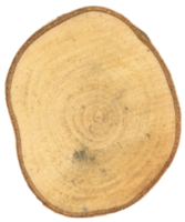 Baumstammquerschnitt transparent png