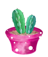 cactus dell'acquerello in vaso