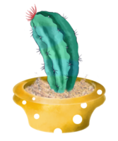 cactus acuarela en maceta png