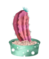 Watercolor Cactus in Pot png