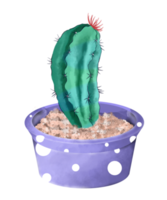 cactus aquarelle en pot png