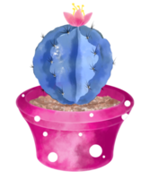 Watercolor Cactus in Pot png