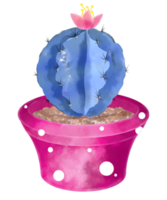 cactus acuarela en maceta png