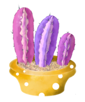 Watercolor Cactus in Pot png