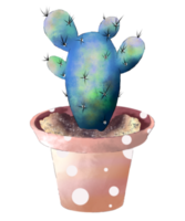 cactus dell'acquerello in vaso png