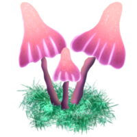 Red Mushroom Clipart png