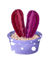 cactus acuarela en maceta png