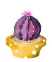 cactus acuarela en maceta png