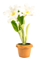 orkidé blomma växt i potten dockskåp miniatyrer trädgård isolera bakgrund png
