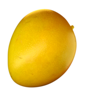 Mangos png, Golden yellow ripe mango isolated