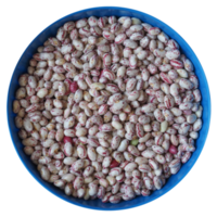 crimson beans legumes food transparent PNG