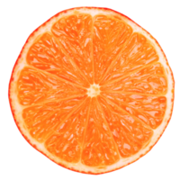 rodajas de naranja transparente png