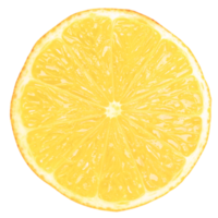 tranches de citron transparent png