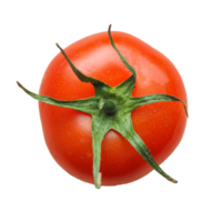 pomodoro vegetale trasparente png