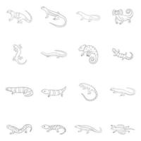 esquema de conjunto de iconos de lagarto vector