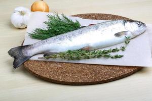 Raw trout on a board photo