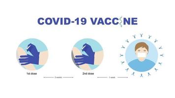 Concepts of mRNA vaccine for coronavirus protection. Illustration of mRNA, syringe with needle, a bottle of vaccine and a man with antibody against covid-19 virus. . vector