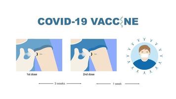 Illustration of vaccine injection in two doses and a man with antibody against covid-19. vector