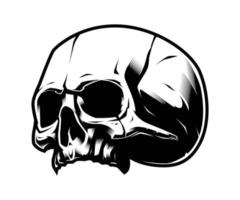 Skull Vector without Chin Vector Illustration Design