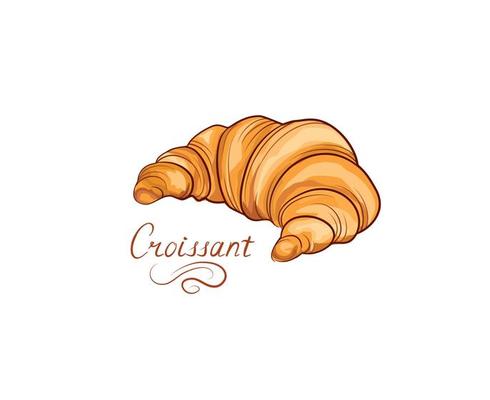Croissant french food icon. Grain food color hand drawing line art on over white background