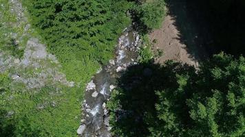 Clean stream flowing through the trees. Bird's eye view stream and trees.