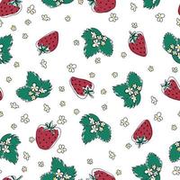 Strawberry pattern on white background. Doodle, hand drawn, outline fruits. Seamless background with strawberry and flowers. Repeat endless texture trendy delicate tender style vector