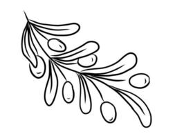 VECTOR LINEAR DRAWING OF SEA BUCKTHORN TWIGS ON A WHITE BACKGROUND