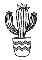 ilustración vectorial de un cactus en una olla aislada en un fondo blanco. garabato dibujando a mano vector